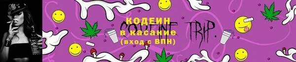 эйфоретик Вяземский