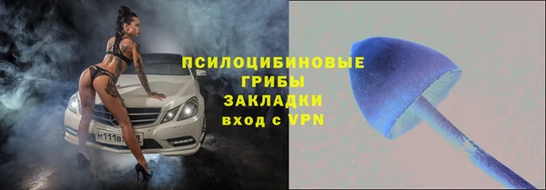 ПСИЛОЦИБИНОВЫЕ ГРИБЫ Вязьма