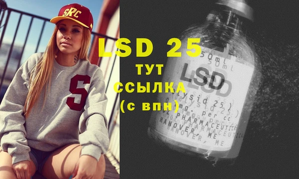 ПСИЛОЦИБИНОВЫЕ ГРИБЫ Вязьма
