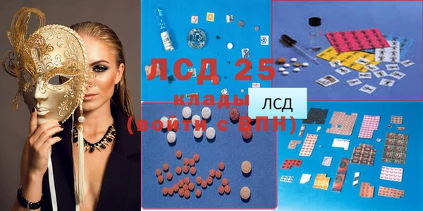 эйфоретик Вяземский