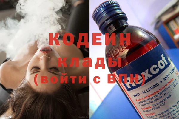 ПСИЛОЦИБИНОВЫЕ ГРИБЫ Вязьма