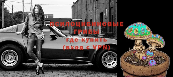 эйфоретик Вяземский