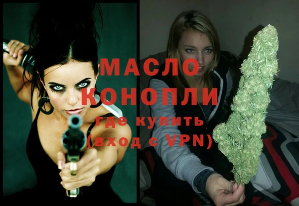 эйфоретик Вяземский